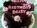 Daisy's 9th Birthday Cake