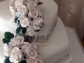 Jasmine's Wedding Cake