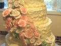 Wedding Cake June